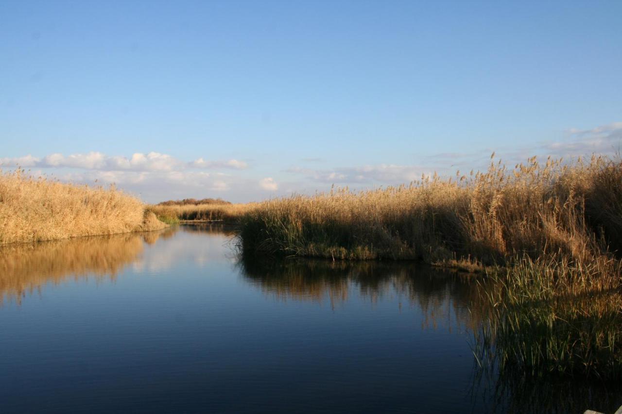 Azraq Lodge Al Azraq ash Shamālī エクステリア 写真